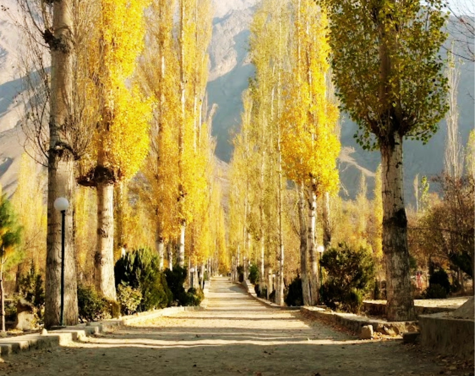 Read more about the article City Park Skardu