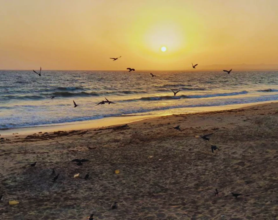 Read more about the article French Beach, Karachi