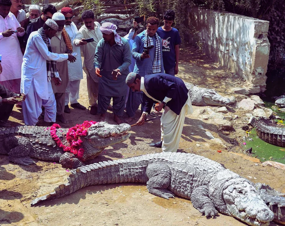 You are currently viewing Shrine of Manghopir & Crocodile Sanctuary, Karachi (Mangho Pir Shrine)