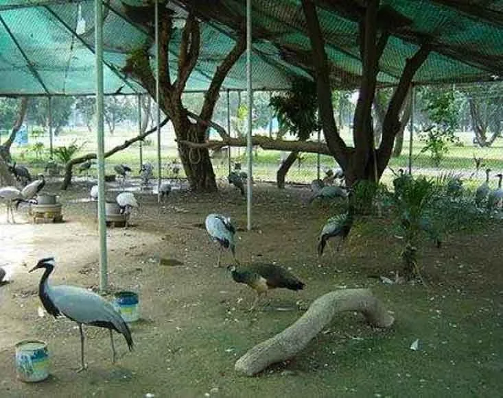 Read more about the article Sargodha Zoo