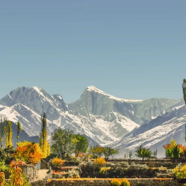Read more about the article Skardu Valley