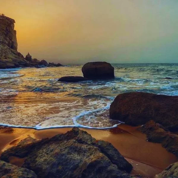 Read more about the article Turtle Beach, Karachi