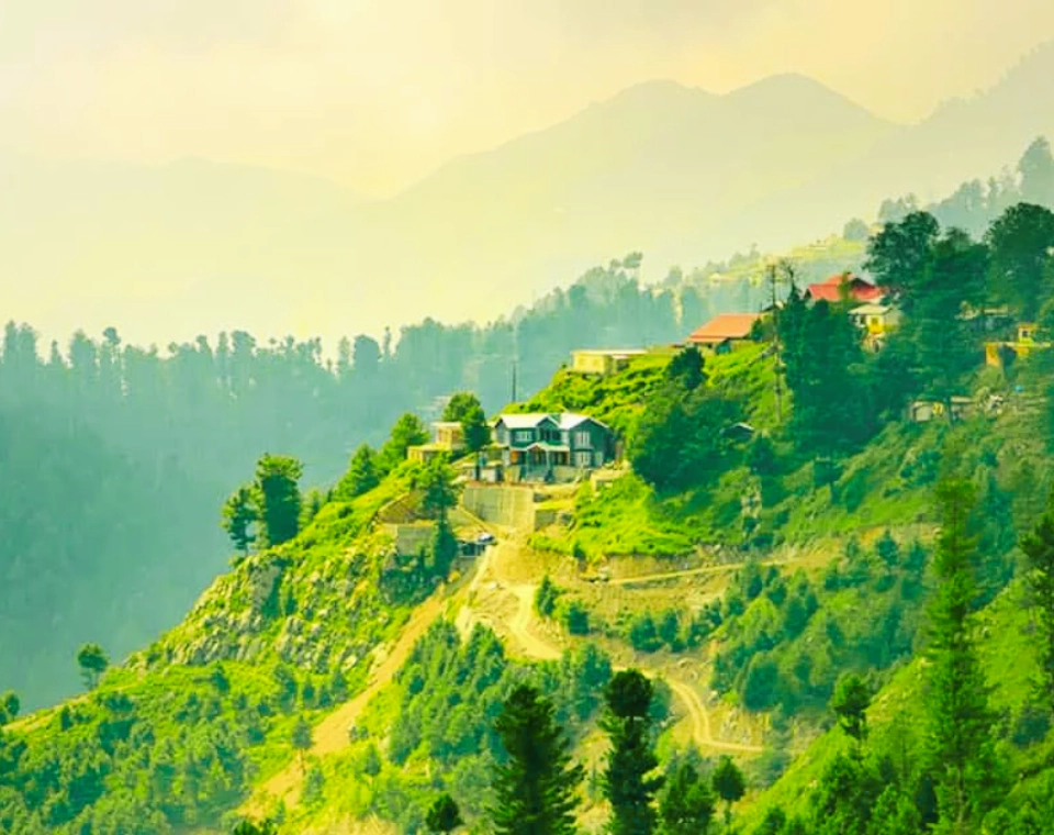 Read more about the article Ayubia National Park, Nathia Gali