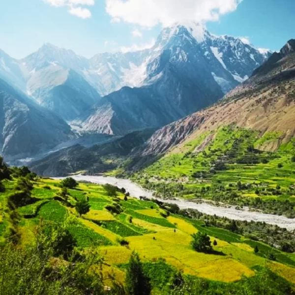 Read more about the article Bagrote Valley, Gilgit