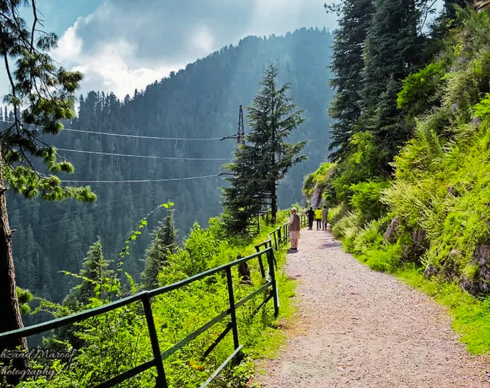 Read more about the article Dunga Gali, Nathai Gali