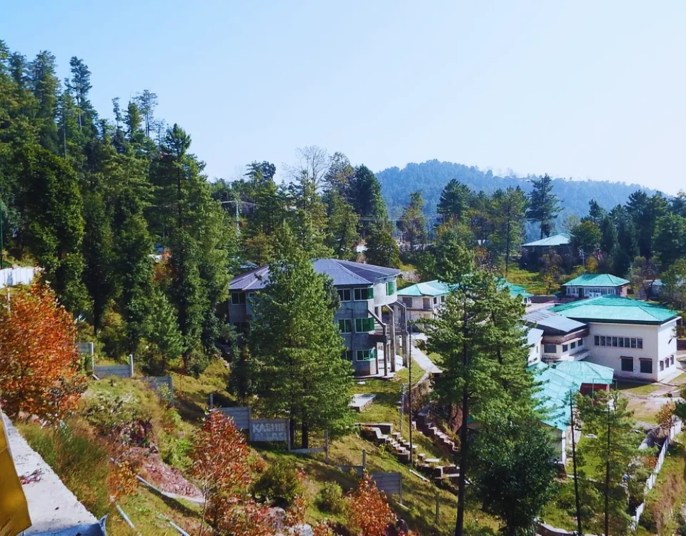 You are currently viewing Nathia Gali, Abbottabad