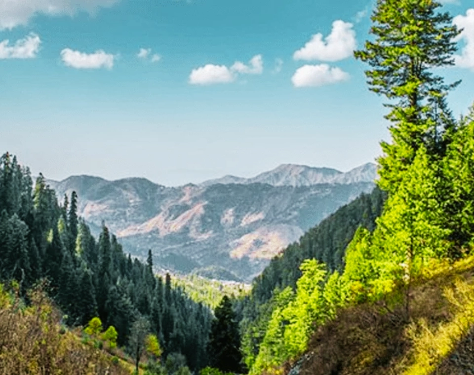 Read more about the article Paradise Point, Nathia Gali