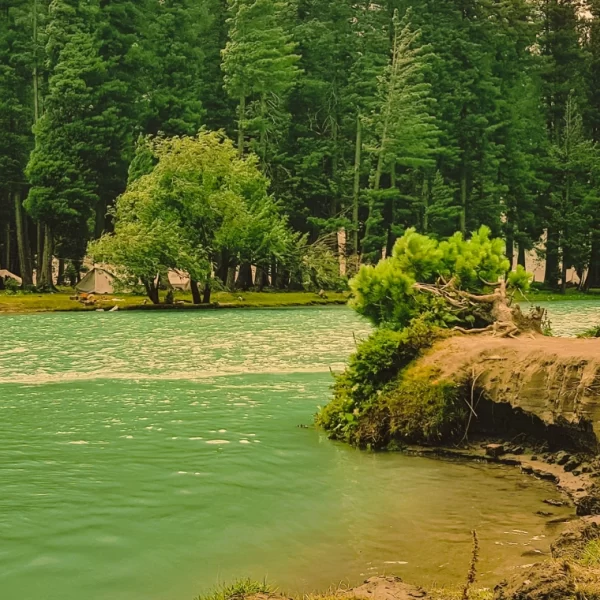 Read more about the article Saifullah Lake